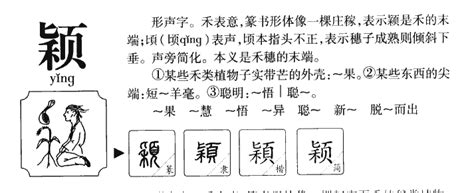 颖字五行|颖字五行属什么